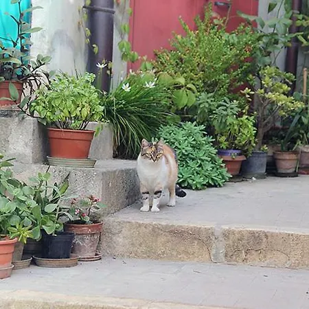 Vico Muccio. Luminosa Casa D'epoca *